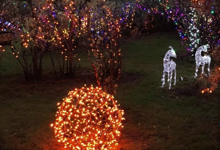 Brookings “Festival of Lights” at Azalea Park Open Tonight Wild Coast