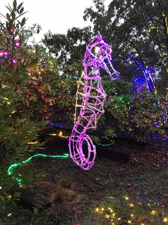 Brookings “Festival of Lights” at Azalea Park Open Tonight Wild Coast