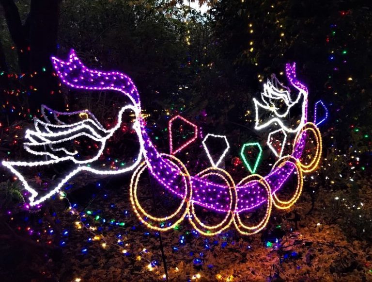 Brookings “Festival of Lights” at Azalea Park Open Tonight Wild Coast