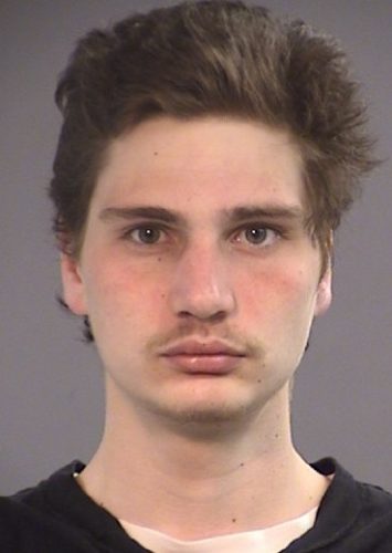 Stabbing Suspect Arrested After Search and Chase | Wild Coast Compass