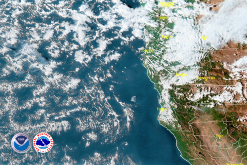 Freeze Advisories and Rain in Early Work Week Forecast | Wild Coast Compass