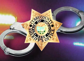 Approximately 46 grams of Suspected Meth and 9 Firearms Leads to Two Arrests in Harbor