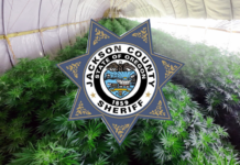 Execution of Search Warrant Yields 25,000 Marijuana Plants Hidden in Pear Orchards, 16,000 lbs. of Usable Cannabis, and 1,470 Plants