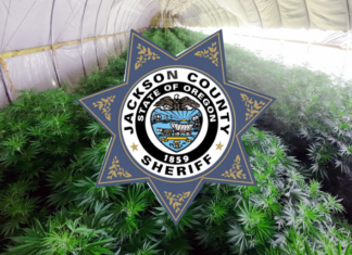 Execution of Search Warrant Yields 25,000 Marijuana Plants Hidden in Pear Orchards, 16,000 lbs. of Usable Cannabis, and 1,470 Plants